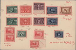 Vereinigte Staaten Von Amerika: 1900/1930 (ca.), Mint And Used Assortment On Stockpages, Comprising - Lettres & Documents