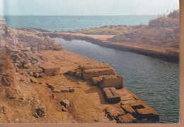 CARTOLINA SICILIA - TRAPANI - MARSALA - MOTHIA - CANALE DI FORTIFICAZIONE. - Marsala