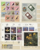 Übersee: 1960/2000 (ca.), Comprehensive MNH Accumulation In A Thick Stockbook, Comprising Sets And S - Autres & Non Classés