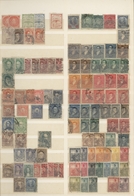 Südamerika: 1850/1980 (ca.), Used And Mint Collection/accumulation In Two Stockbooks, Comprising Arg - Amerika (Varia)