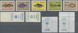 Portugiesische Kolonien In Afrika: 1938/1975, Beautiful Mint Never Hinged Collection Of The Portugue - Congo Portugais