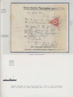 Brieftaubenpost: 1899/1904, NEW ZEALAND "THE GREAT BARRIER ISLAND PIGEON MAIL", Extraordinary And De - Piccioni & Colombe