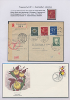 Thematik: Flora, Botanik / Flora, Botany, Bloom: 1940/2015 (ca.), Mint And Used Collection/accumulat - Sonstige & Ohne Zuordnung