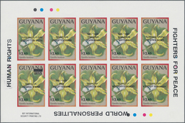 Thematik: Flora, Botanik / Flora, Botany, Bloom: 1975/1990 (ca.), GUYANA: Duplicated Accumulation In - Other & Unclassified