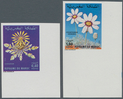 Thematik: Flora, Botanik / Flora, Botany, Bloom: 1979, MOROCCO: Flowers Set Of Two 0.40dh. 'Centaure - Autres & Non Classés