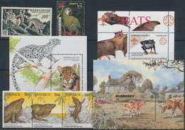 Thematik: Tiere, Fauna / Animals, Fauna: 1920/2007 (ca.), ANIMALS From A To Z, Huge Accumulation Of - Other & Unclassified