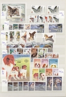 Thematik: Tiere, Fauna / Animals, Fauna: 1960/2005 (ca.), Mainly Modern Issues, Comprehensive MNH Ac - Other & Unclassified