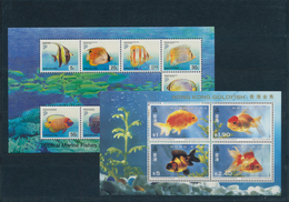 Thematik: Tiere-Fische / Animals-fishes: 1960/2007 (ca.), FISHES/ MARINE CREATURES, Small Accumulati - Vissen