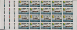 Thematik: Tiere-Fische / Animals-fishes: 1985, Ethiopia. FRESHWATER FISH. Complete Set (4 Values) In - Pesci