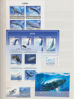 Thematik: Tiere-Meeressäuger (u.a. Wale) / Animals-aquatic Mammals: 1980/2012 (ca.), WHALES AND DOLP - Altri & Non Classificati