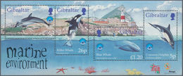 Gibraltar: 1998, Whales And Dolphines, 2300 Copies Of The Souvenir Sheet Mint Never Hinged (Michel B - Gibilterra