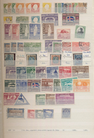 Island: 1873/1996, Mint And Used Collection/accumulation On Stockpages, From Some Early Issues, E.g. - Altri & Non Classificati