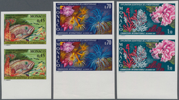 Monaco: 1974, Exploration Of The Mediterranean Sea Complete Set Of Three (Wreckfish, Sea Anemones An - Neufs