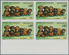 Monaco: 1976, International Dog Show In Monte Carlo 0,60fr. 'Dachshund' In A Lot With 80 IMPERFORATE - Nuevos