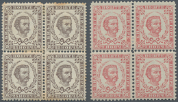 Montenegro: 1874/1893, Definitives "Nikola", Specialised Assortment Of Apprx. 57 Stamps, All Stated - Montenegro