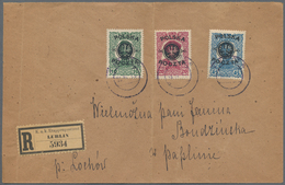 Polen: 1919, Overprints, Lot Of 24 Used Stamps Incl. Poznan Overprints On Germany Used On Cover; Som - Oblitérés