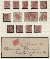 Rumänien: 1865, Prince Cuza 20pa. Red, Specialised Assortment/collection Of 15 Stamps On Album Page, - Gebraucht