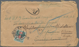 Schweiz: 1870-1950: Annähernd 600 Briefe, Postkarten, Ansichtskarten, Ganzsachen. Fundgrube Für Den - Lotes/Colecciones