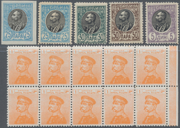 Serbien: 1905/1914 (ca.), Duplicates On Nine Large Stockcards With A Few Values Only But Mostly In L - Serbien