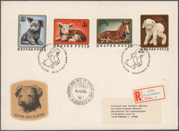 Ungarn: 1964/1982, IMPERFORATE ISSUES, Collection Of Apprx. 430 Different F.d.c. Bearing Imperforate - Storia Postale