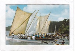 CPSM.  14 X 9  -  MARTINIQUE - Course De Yoles Au Marin : Départ D'une Course à La Misaine - Le Marin