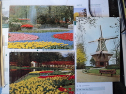 KEUKENHOF. PAYS BAS. LOT DE 3 CPSM. ANNEES 60 / 1984 LISSE. CORRESPONDANCES TELLES SEREZ PAR SAINT ANDRE EURE / ETABLIS - Lisse