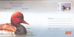 7676FM- RED CRESTED POCHARD, BIRDS, ANIMALS, COVER STATIONERY, 2007, ROMANIA - Canards