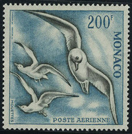 Neuf Sans Charnière N° 66/8, La Série Oiseau De Mer, Dent. 13, T.B. - Andere & Zonder Classificatie