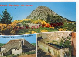 07- MONT GERBIER DE JONC- SOURCE DE LA LOIRE   -    - ARDECHE - Other & Unclassified