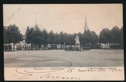 MAASEIK  GRAND'PLACE - Maaseik