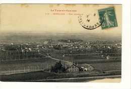 Carte Postale Ancienne Grisolles - Vue Générale - Grisolles
