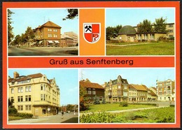 D3363 - TOP Senftenberg - Verlag Bild Und Heimat Reichenbach - Senftenberg