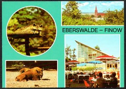 D3373 - TOP Eberswalde Finow Tierpark Zoo - Verlag Bild Und Heimat Reichenbach - Eberswalde