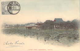 JAPAN JAPON Lotus Pond Shinobazu TOKYO 1903 Un étang De Lotus - Tokyo