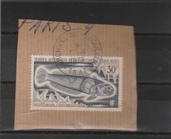 TAAF Yvert  38 Poisson Sur Fragment Archipel Des Kerguelen 9/3/1972  - Lot 2 - Used Stamps