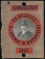 1907 Párisi Nagy Áruház, Ős-Budavár Fényképes Szabadjegy - Ohne Zuordnung