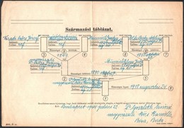 1944 Bp., Származási Táblázat - Sin Clasificación