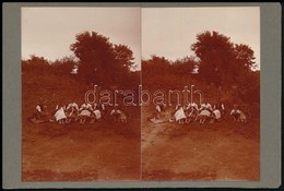 Cca 1900 Lányok A Pusztában, Sztereó Fotó Kartonon, 10x15 Cm - Otros & Sin Clasificación