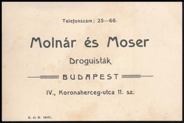 Cca 1910 Bp., Molnár és Moser Droguisták Kártyája, A Hátoldalán Megcímzett, 8x13 Cm - Advertising