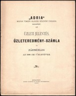 1891 'Adria' Magyar Tengeri Hajózási Részvénytársaság üzleti Jelentése és Zármérleg Az 1890. évre - Sonstige & Ohne Zuordnung