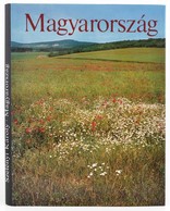 Szelényi Károly: Magyarország. Bp., 1986. Képzőművészeti Kiadó. Illusztrált Védőborítóval - Unclassified