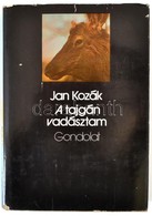 Jan Kozák: A Tagján Vadásztam. Ford.: Hubik István. Bp.,1977, Gondolat. Kiadói Egészvászon-kötés, Kiadói Papír Védőborít - Ohne Zuordnung