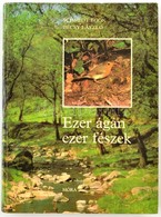 Schmidt Egon-Bécsy László: Ezer ágán, Ezer Fészek. Bp.,1981.,Móra. Kiadói Kartonált Papírkötés. - Ohne Zuordnung