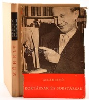 Kellér Dezső: Kortársak és Sorstársak. Bp., 1971., Szépirodalmi Kiadó. Kiadói Egészvászon-kötés. A Szerző, Kellér Dezső  - Ohne Zuordnung