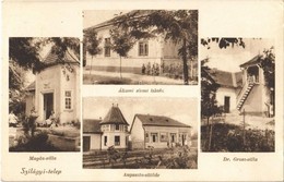 T1/T2 1936 Szigethalom, Szilágyi-telep; Magda-villa, állami Elemi Iskola, Dr. Grosz-villa, Auguszta Sütöde, Photo - Sin Clasificación