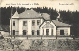 T2/T3 1914 Bikás, Bicasu; Dávid Károly és Fia Lemezgyár R.T. Igazgatósági épülete / Sheet Metal Factory, Directorate Bui - Sin Clasificación