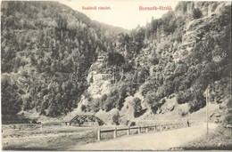 T2 1911 Borszék, Borsec; Szalárdi Részlet / Road, Bridge - Ohne Zuordnung