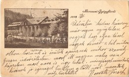 T2/T3 1898 Borosznó-gyógyfürdő, Brusno-kúpele (Borosznó, Brusznó, Brusno); Lajos Lak / Villa (EK) - Sonstige & Ohne Zuordnung