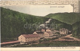 T2 1903 Hermánd, Hermanecz, Harmanec; Papírgyár, Fűrésztelep. Ivánszky Elek Kiadása / Paper Mill, Paper Factory, Sawmill - Otros & Sin Clasificación