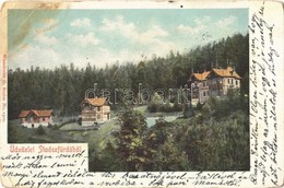 T3 1901 Stószfürdő, Stoósz-fürdő, Kúpele Stós; Nyaralók. Wlaszlovits G. No. 1300. / Villas (EB) - Otros & Sin Clasificación